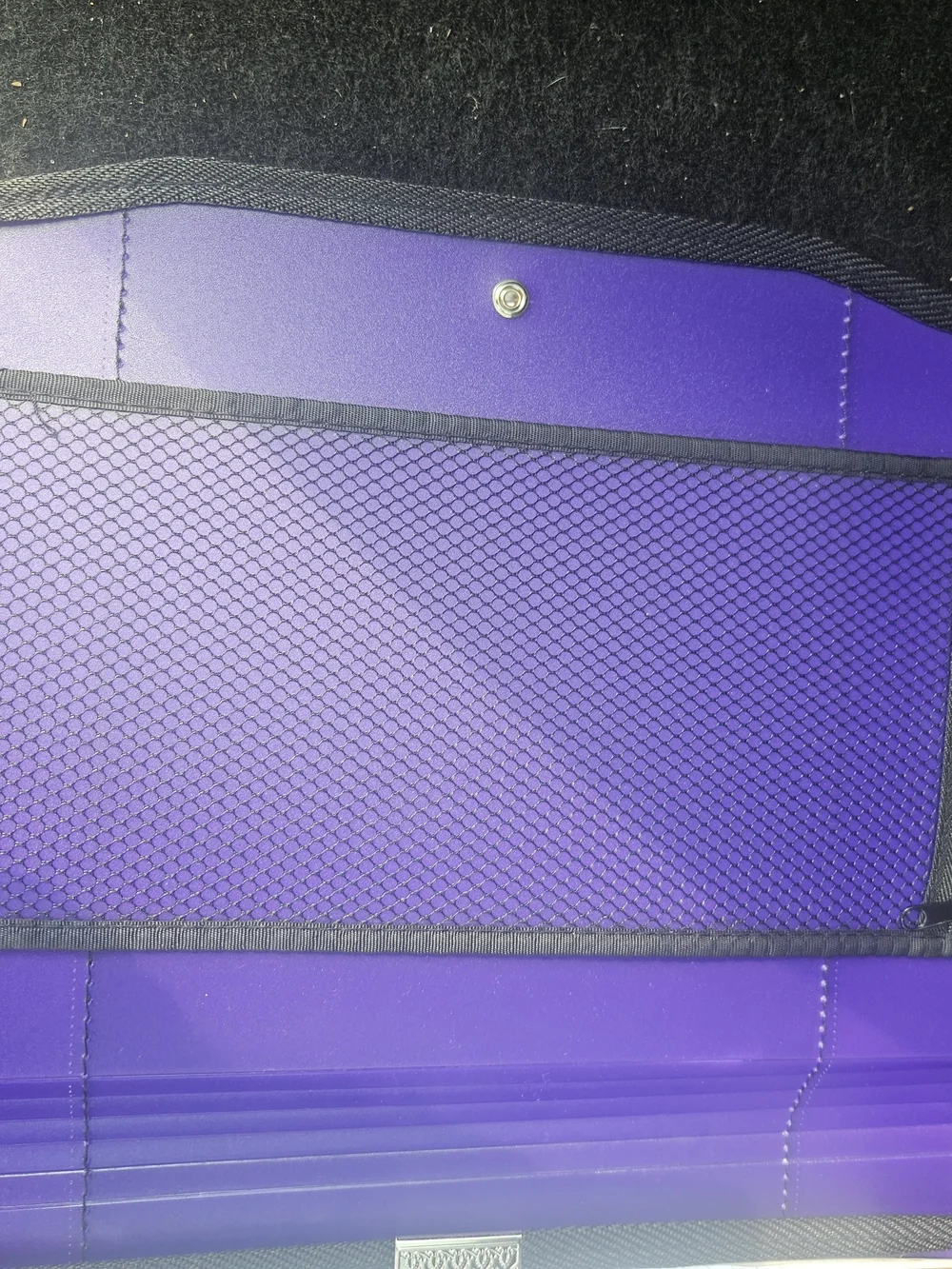 Plastic File Folder with Elastic Closure